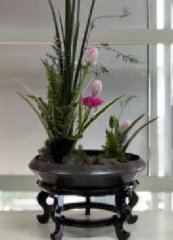 <strong>3.8婦女節插花活動</strong>